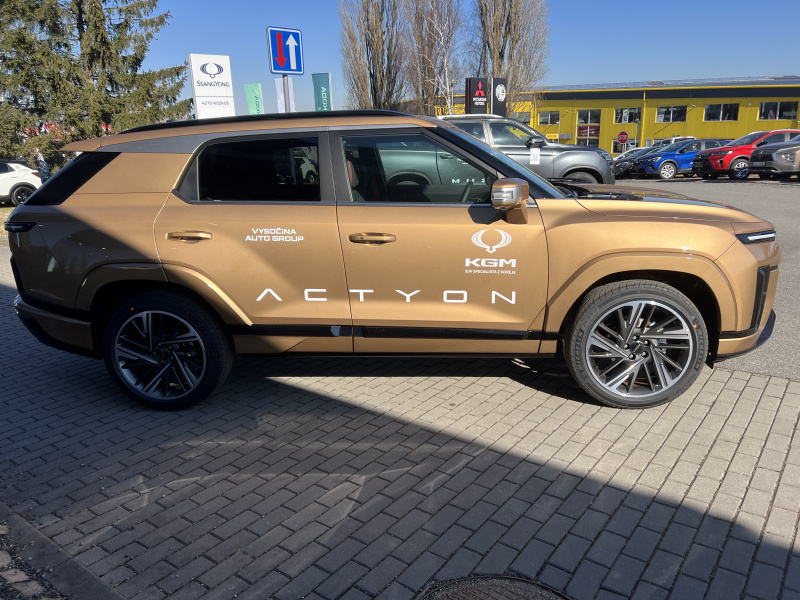 Actyon 60267